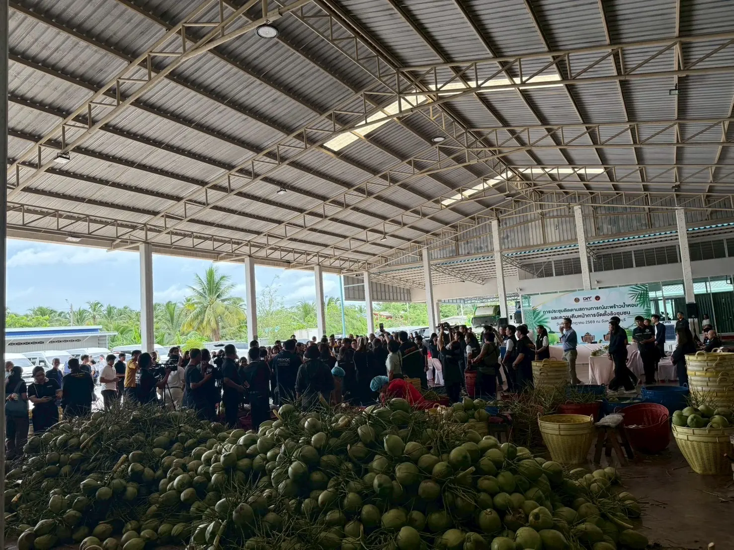 Aromatic coconuts collected from local growers at the venue where the meeting was held