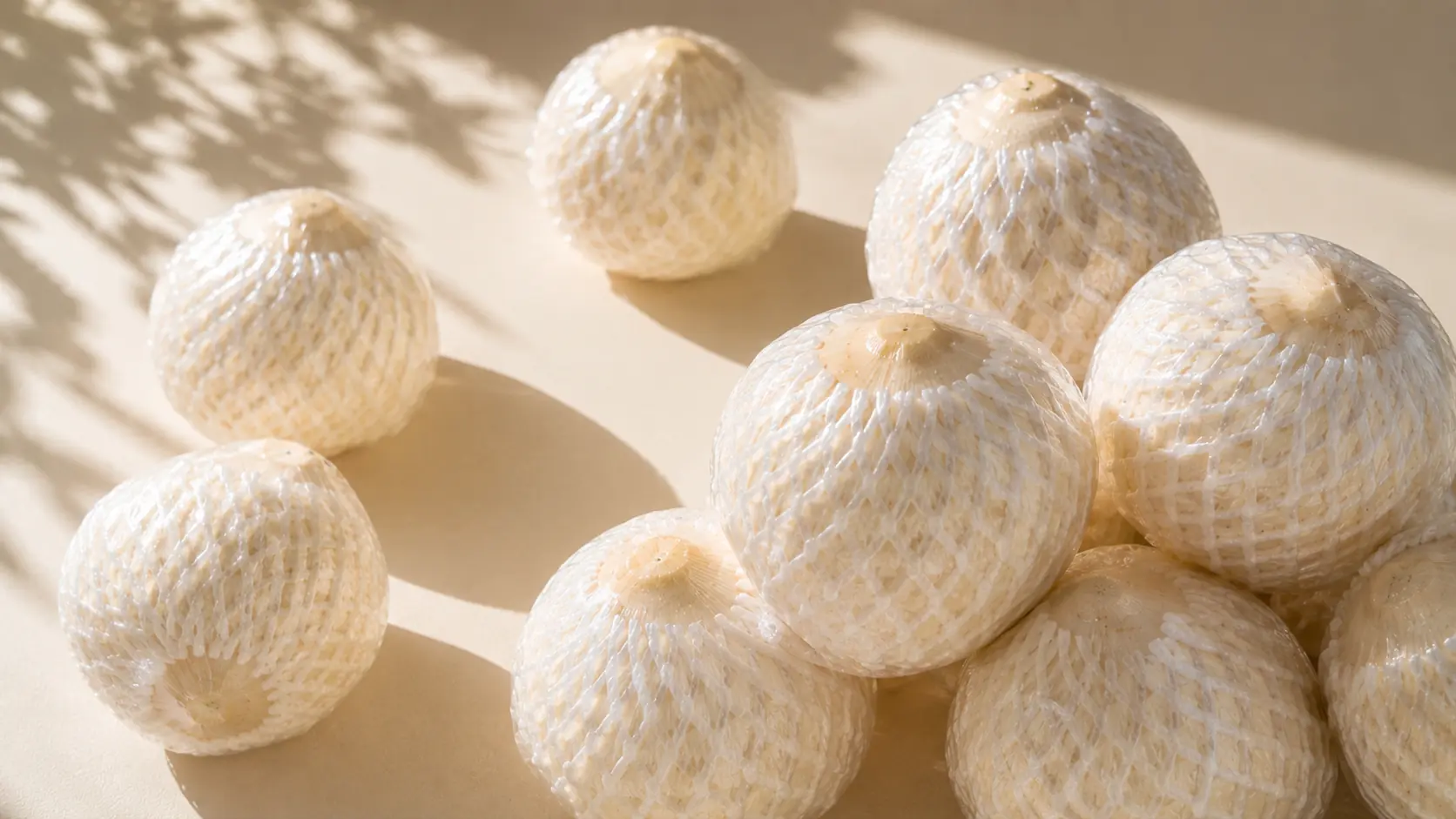 White-trimmed coconuts in protective foam netting, prepared for export