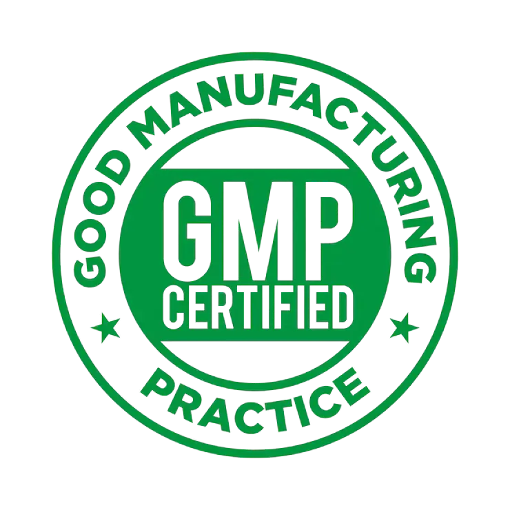 GMP — Good Manufacturing Practice